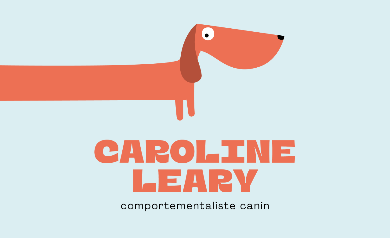 Preview of the dog behaviorist, Caroline Leary branding.
